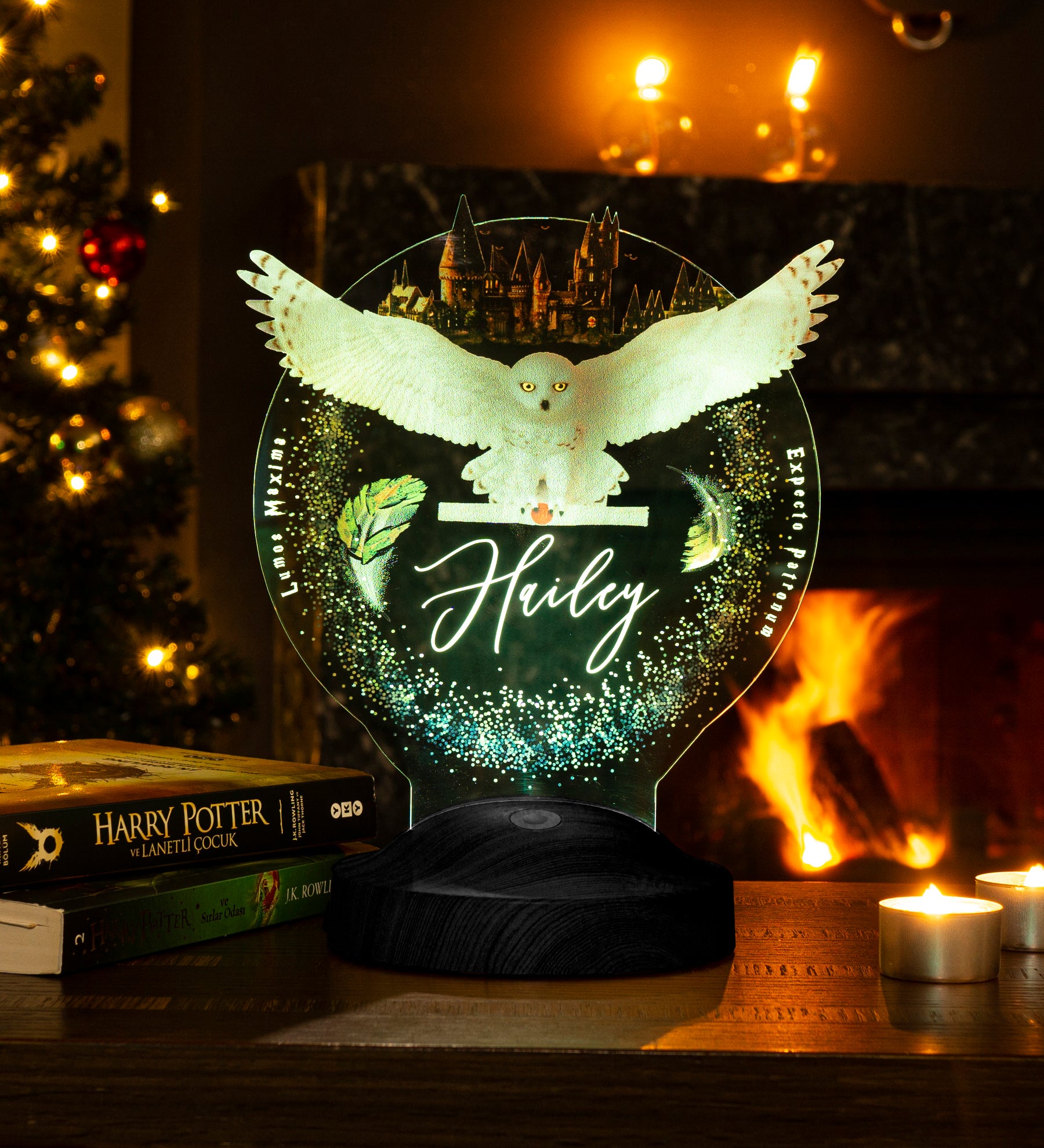 Owl Personalized Lamp with UV Printing 3D Vision LED Night Light