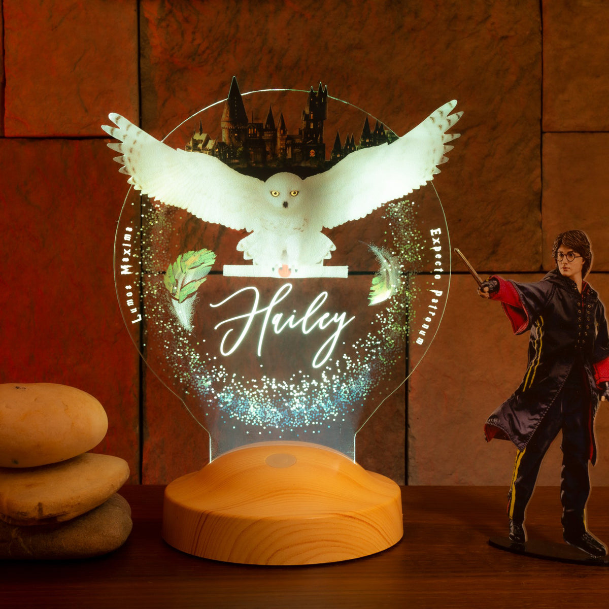 Owl Personalized Lamp with UV Printing 3D Vision LED Night Light