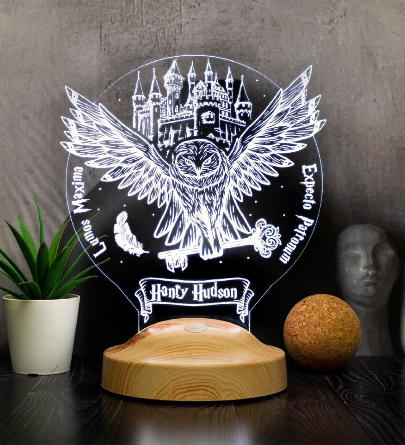 Harry Potter 3-in-1 Personalisierte LED Lampe – Hogwarts, Hedwig & dein Haus