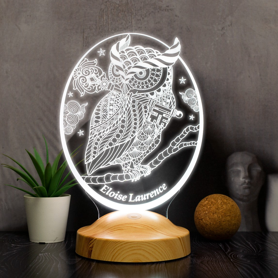 OWL PERSONALIZED LAMP WITH ENGRAVING 3D VISION LED NIGHT LIGHT