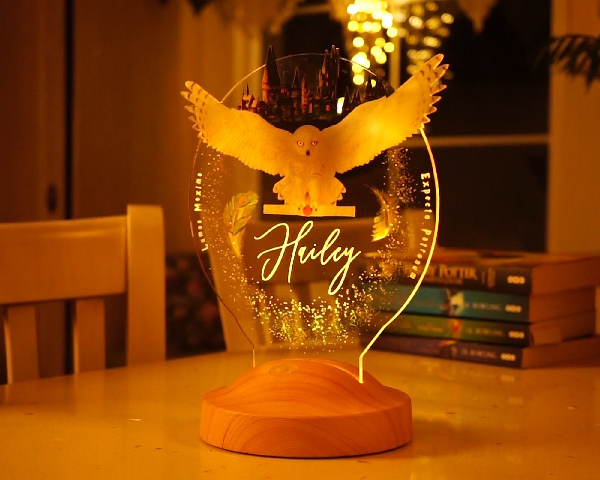 Owl Personalized Lamp with UV Printing 3D Vision LED Night Light